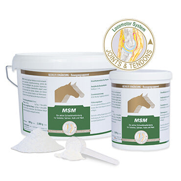 Vetripharm MSM, 2KG