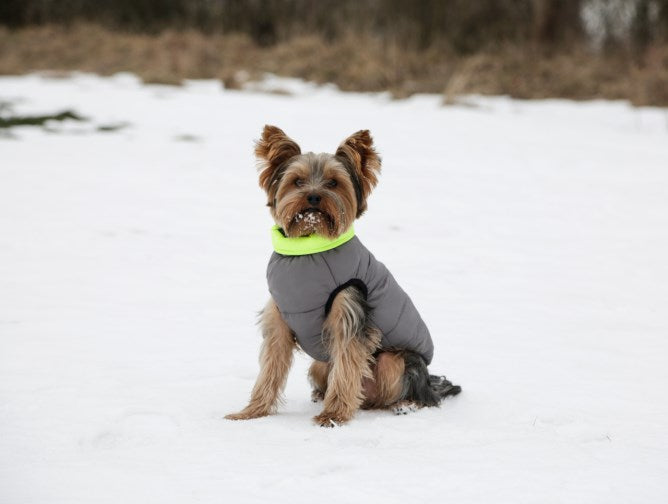 Kerbl Steppmantel Charmonix