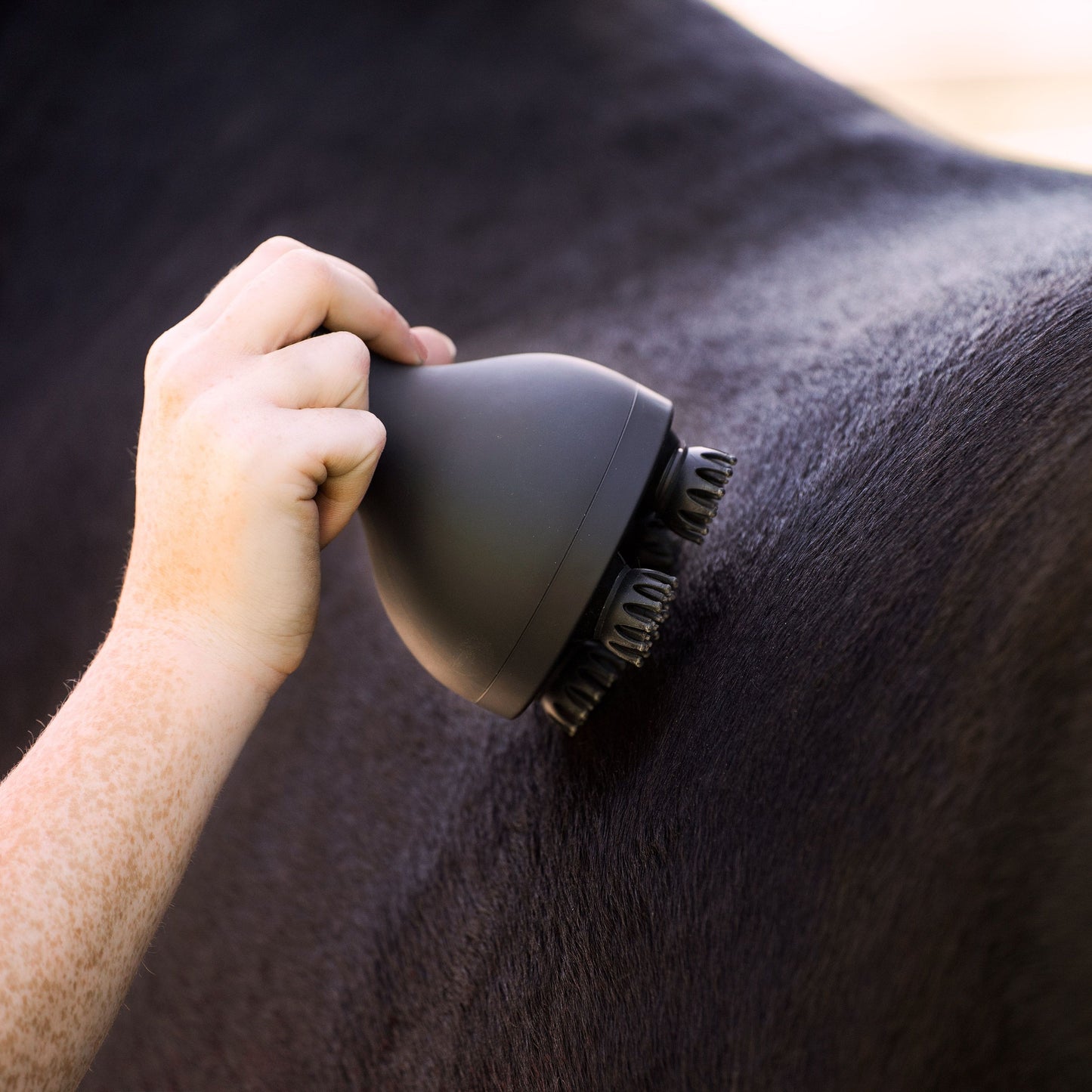 Imperial Riding Grooming & Relaxation Bürste IRHVolta