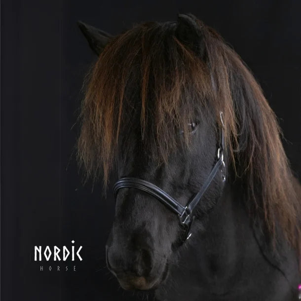 Nordic Horse schwarzes Lederhalfter