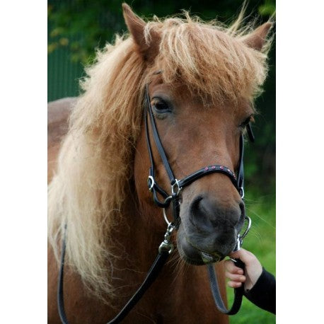Nordic Horse Nasenriemen, hannoveranisch