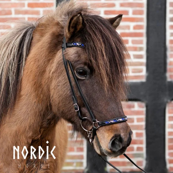 Nordic Horse, Hannoveranischer Nasenriemen, Colour Mix in Pink/Blau/Türkis/Grün
