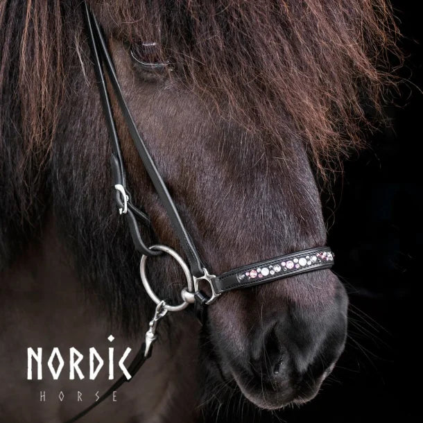 Nordic Horse, Hannoveranischer Nasenriemen, Colour Mix in Pink/Blau/Türkis/Grün