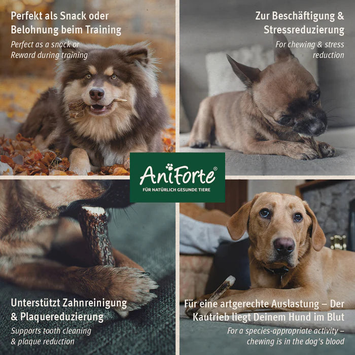 Aniforte Hirschgeweih, 50g