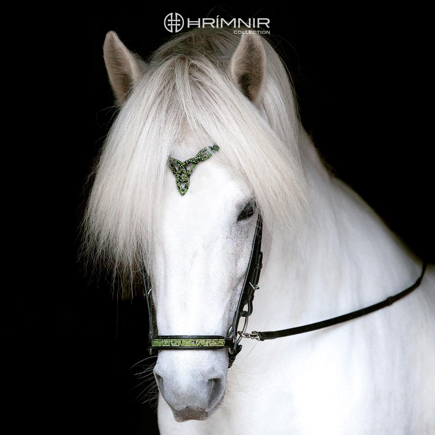 Hrimnir Hannoveranischer Nasenriemen Aurora, 22cm