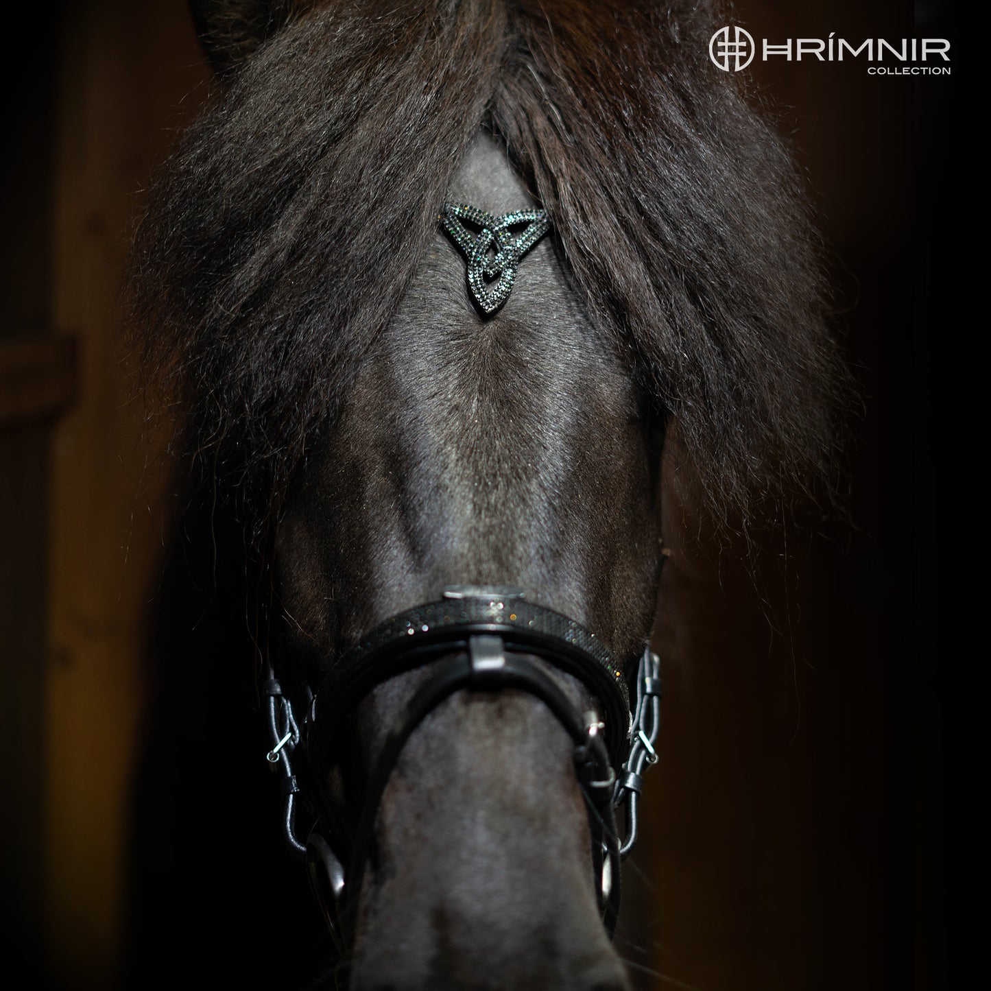 Hrimnir Kombinierter Nasenriemen Lava