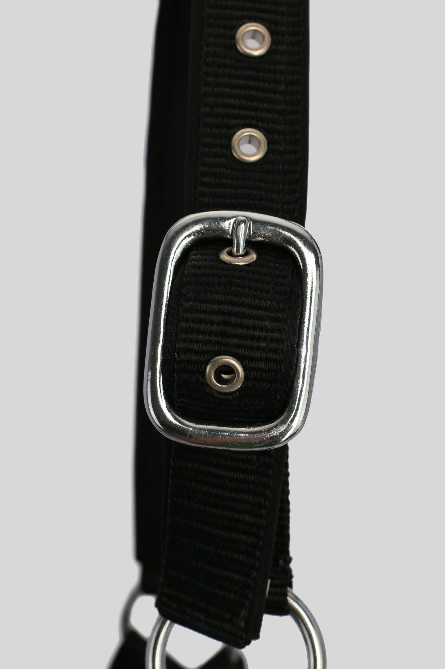 Top Reiter Halfter-Set "TR II" mit Strick, schwarz