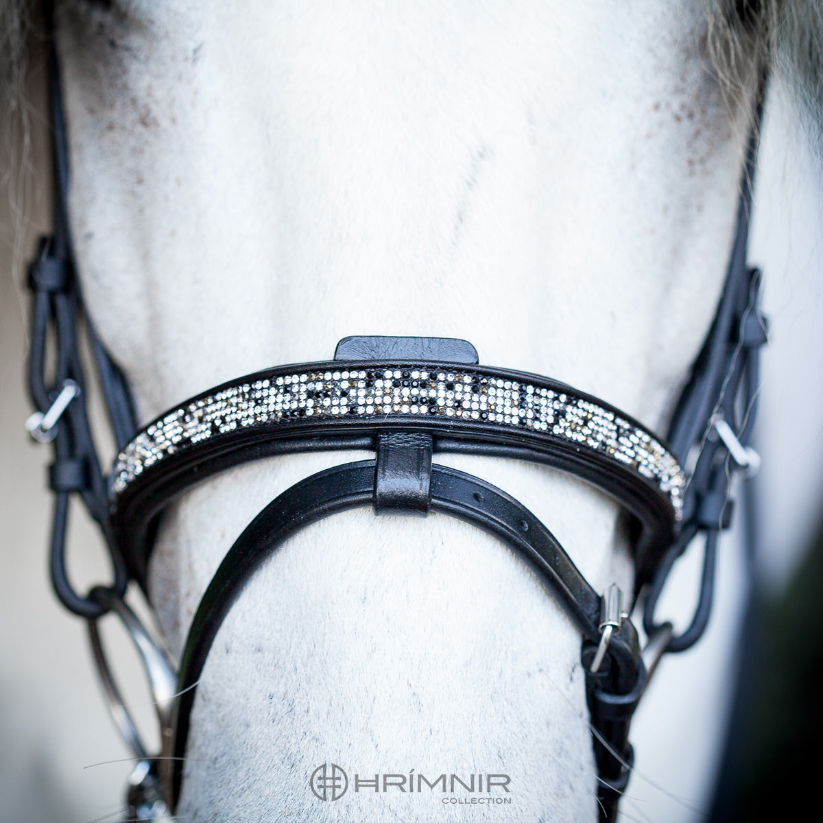 Hrimnir Kombinierter Nasenriemen Feuer und Eis