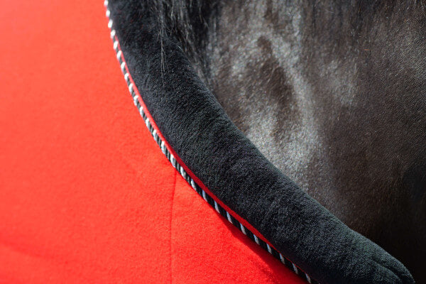 Top Reiter Fleecedecke "SOFT LINE", red, 125cm