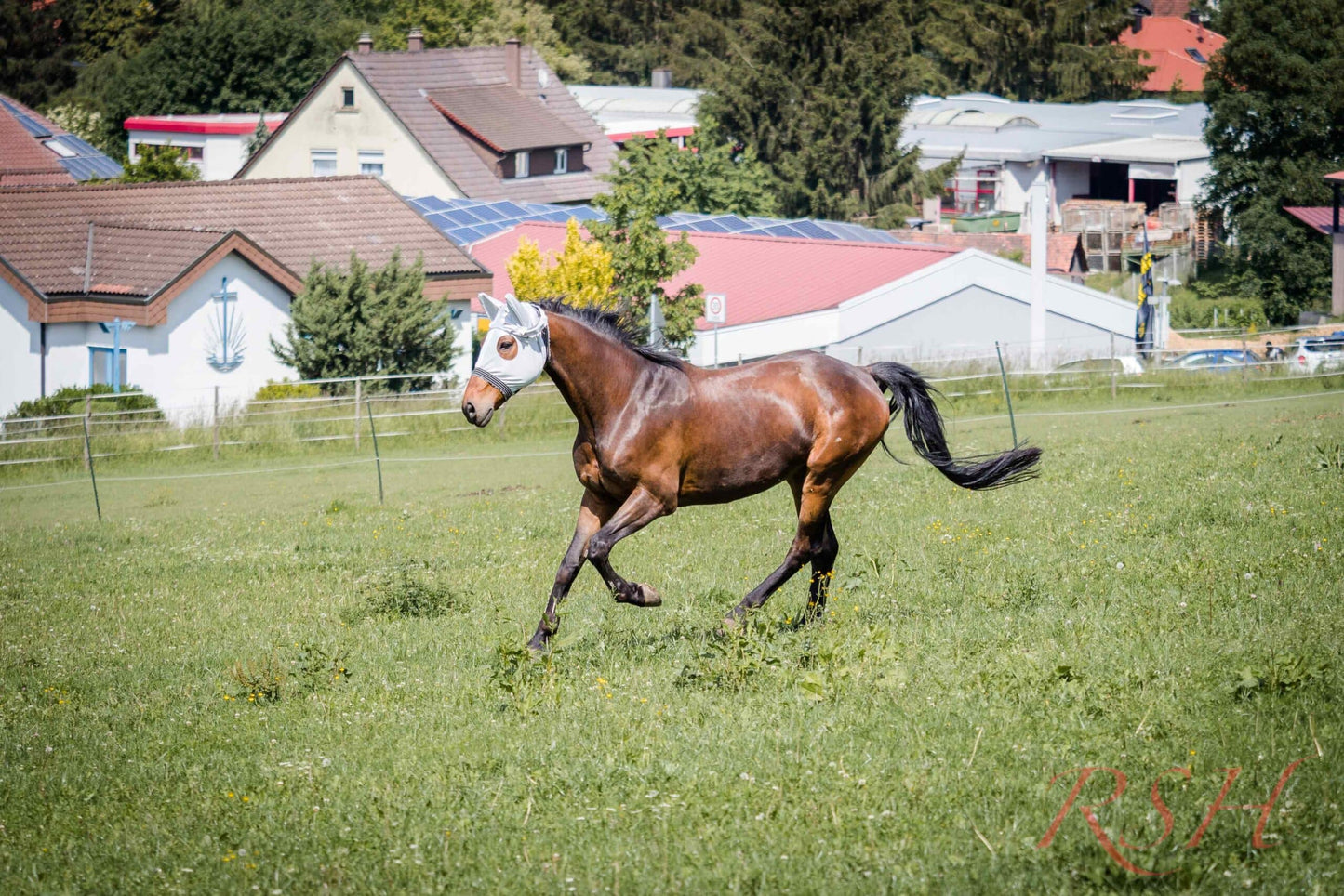RSH Kopfteil Hella