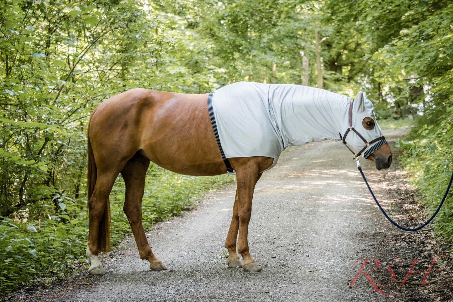 RSH Teilkörperdecke Modell Shari mit Kopfteil