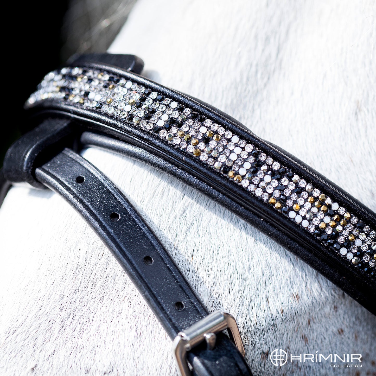 Hrimnir Kombinierter Nasenriemen Feuer und Eis