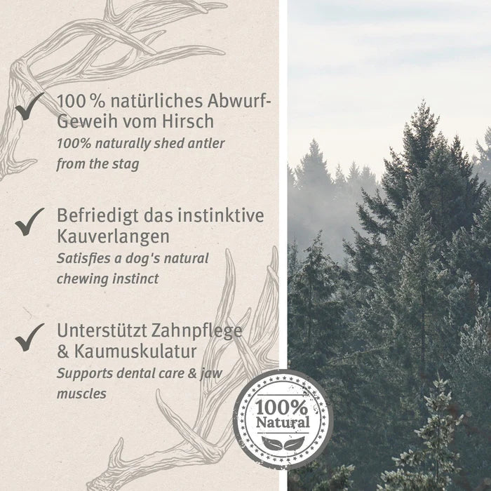 Aniforte Hirschgeweih, 50g