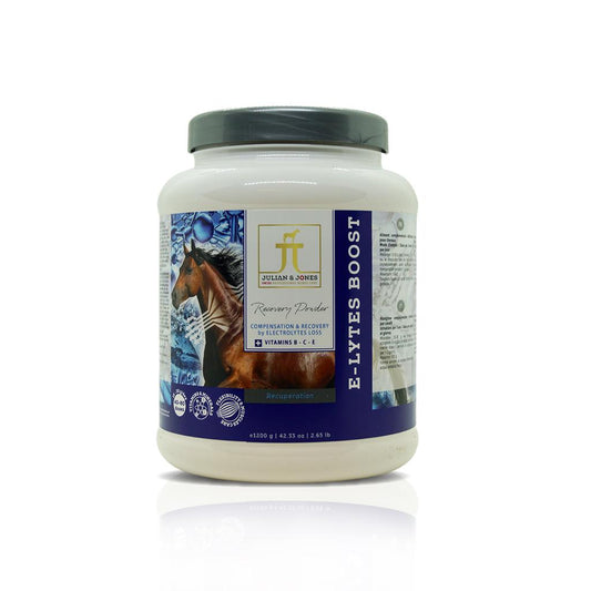 Julian&Jones E-Lytes Boost