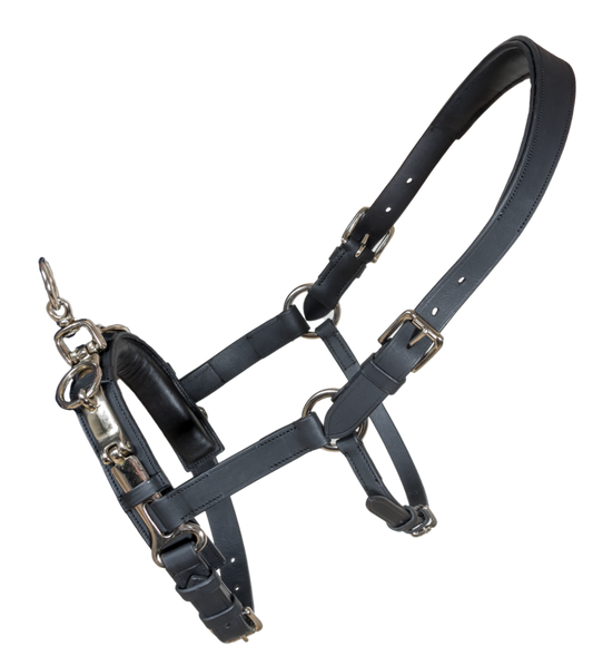 Karlslund Kappzaum Fengur