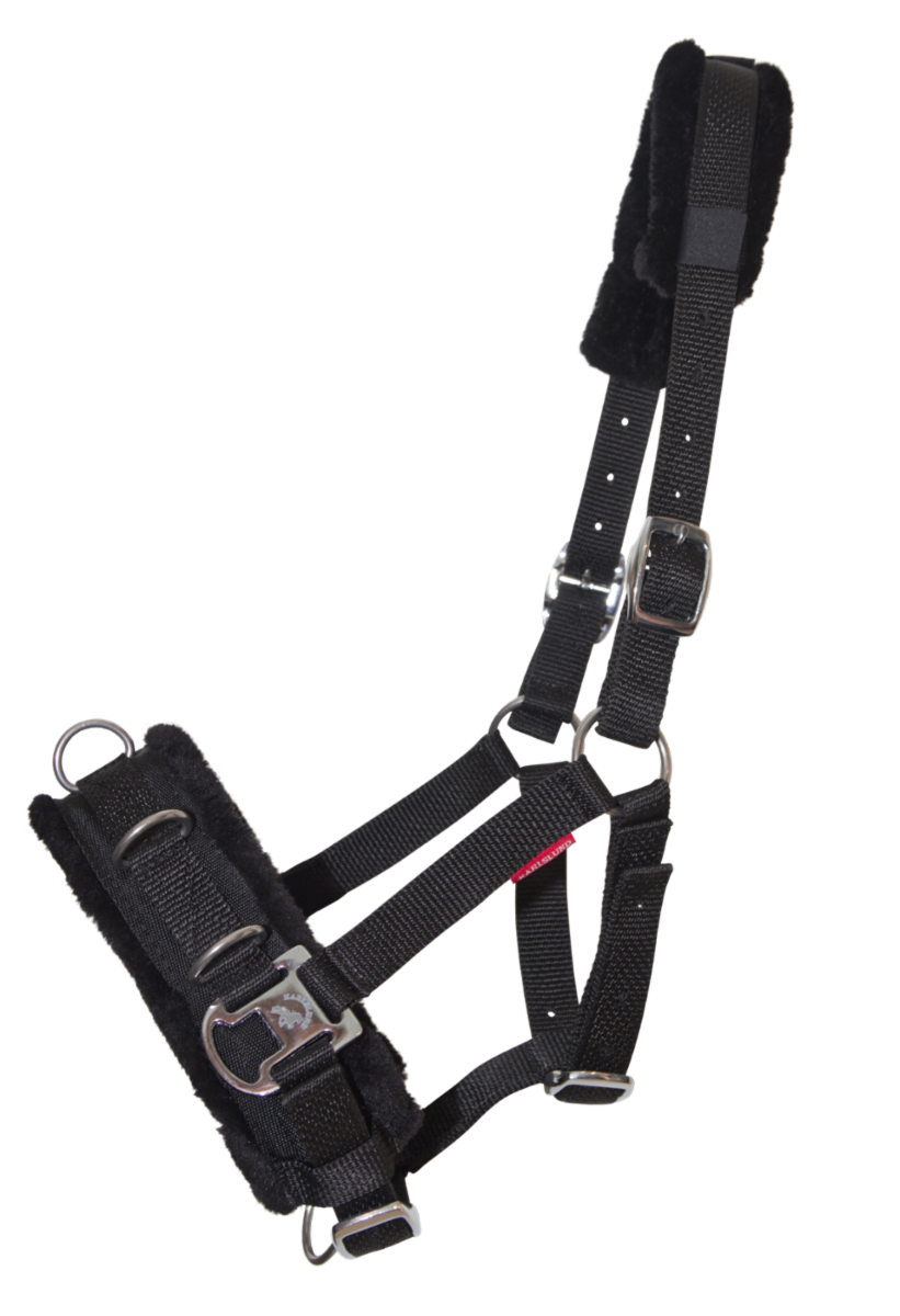 Karlslund Kappzaum, Nylon