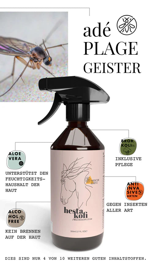 Hestakofi Mückenstille