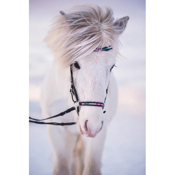 Nordic Horse Wavekopfstück mit Regenbogensteine