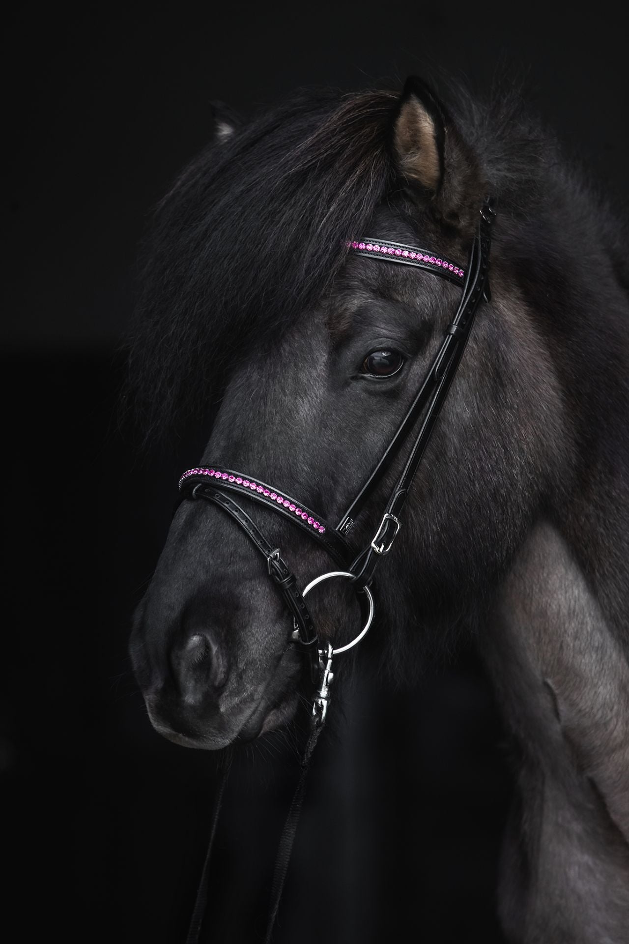 Top Reiter Demantur Kopfstück, Pink