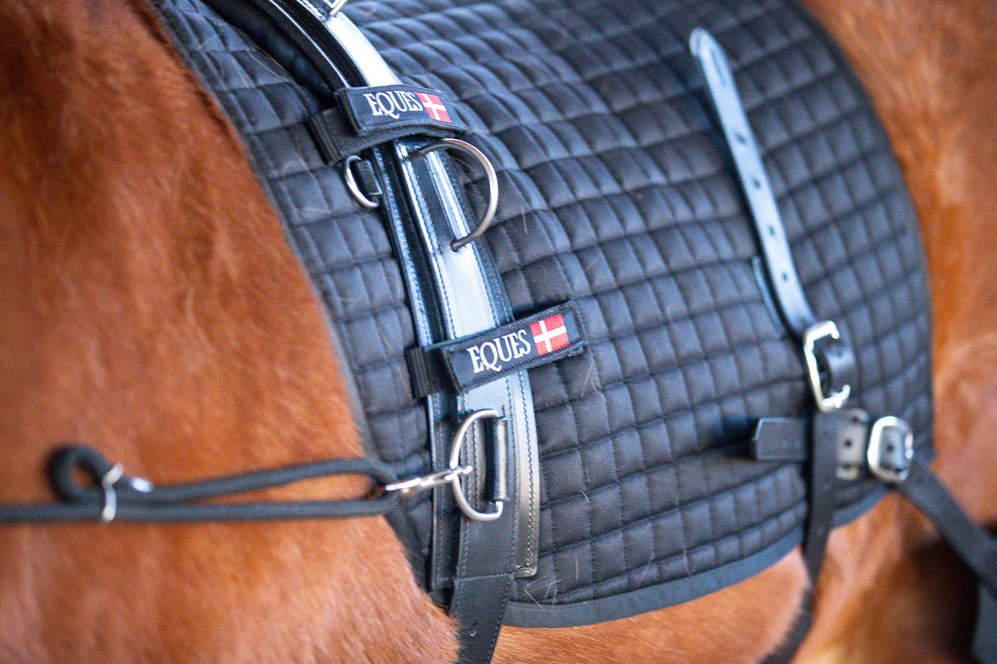 Eques Core Trainer Longiersystem