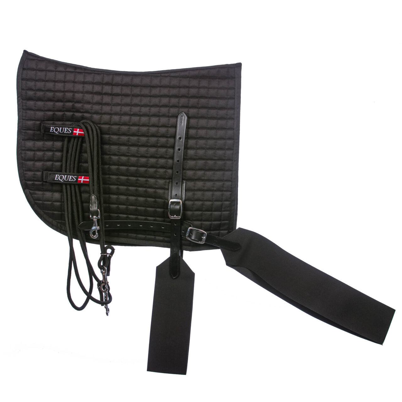 Eques Core Trainer Longiersystem