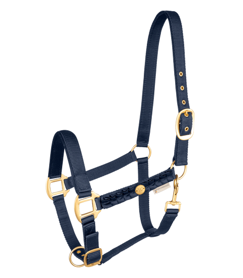 Waldhausen Halfter Florenz, Cob