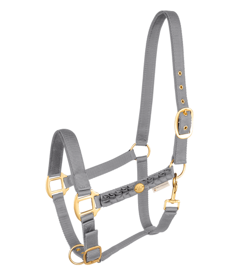 Waldhausen Halfter Florenz, Cob