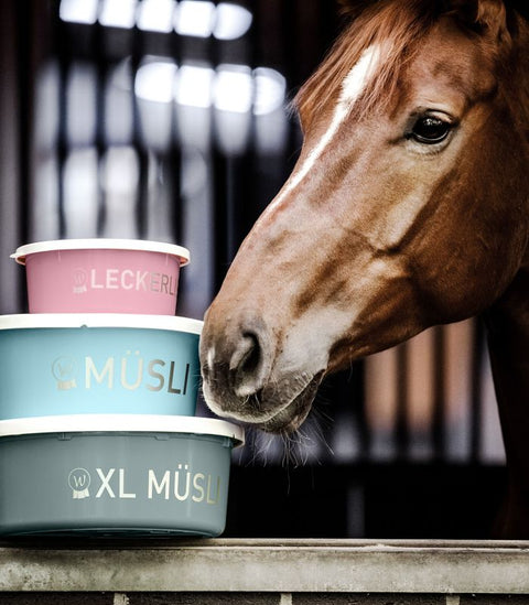 Müsli- Schale mit Deckel