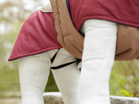 Kerbl Hundemantel Royal Pets