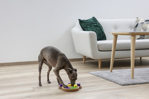 Kerbl Denk- und Lernspielzeug Pow