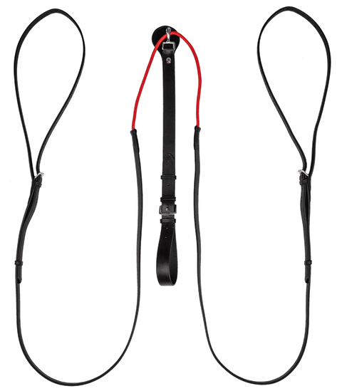 Waldhausen W-trainRein