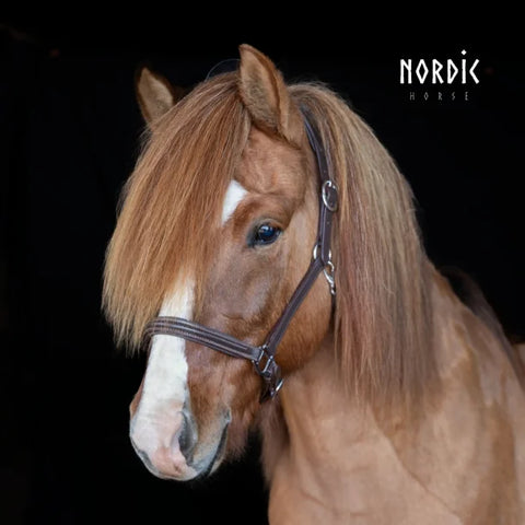 Nordic Horse braunes Lederhalfter
