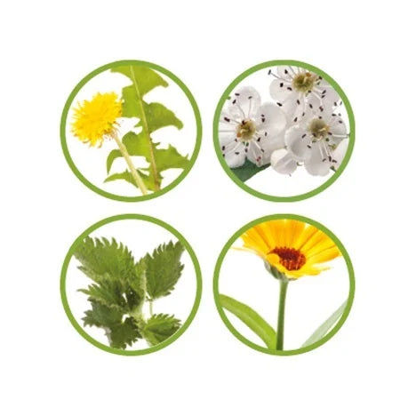 Pavo DailyFit, 4.5KG, Mineralfutter Briketts