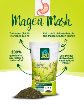 Lexa Magen Mash