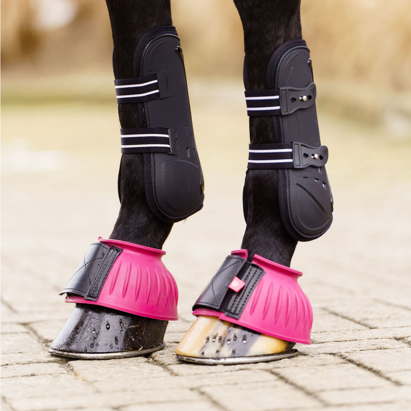 Imperial Riding Hufglocken IRHBells, pink & schwarz