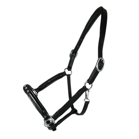 Nordic Horse leather halter with 5 white stones