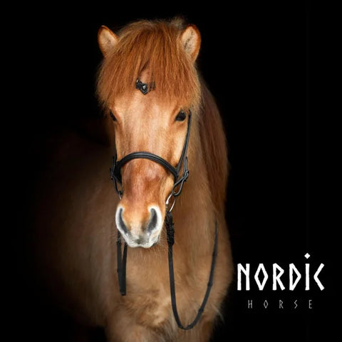 Nordic Horse Biothane-Zügel mit Schnallen