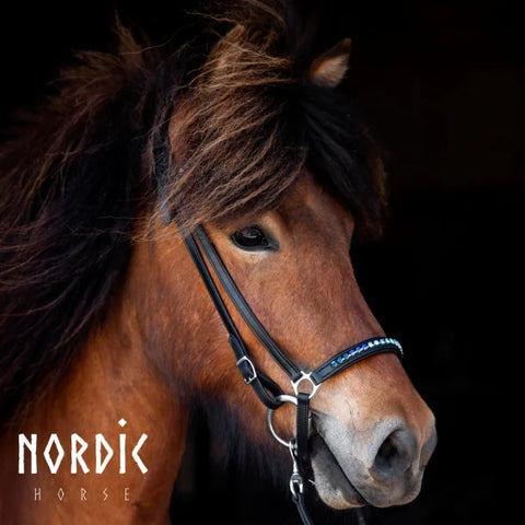 Nordic Horse, Hannoveranischer Nasenriemen mit abwechselnden Farben