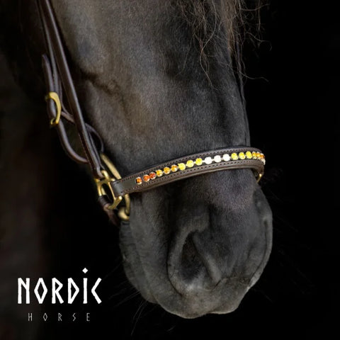 Nordic Horse, Hannoveranischer Nasenriemen mit abwechselnden Farben