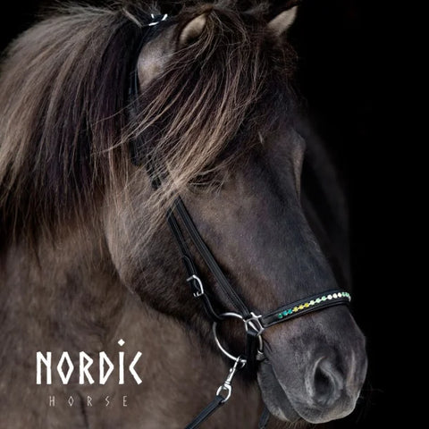 Nordic Horse, Hannoveranischer Nasenriemen mit abwechselnden Farben