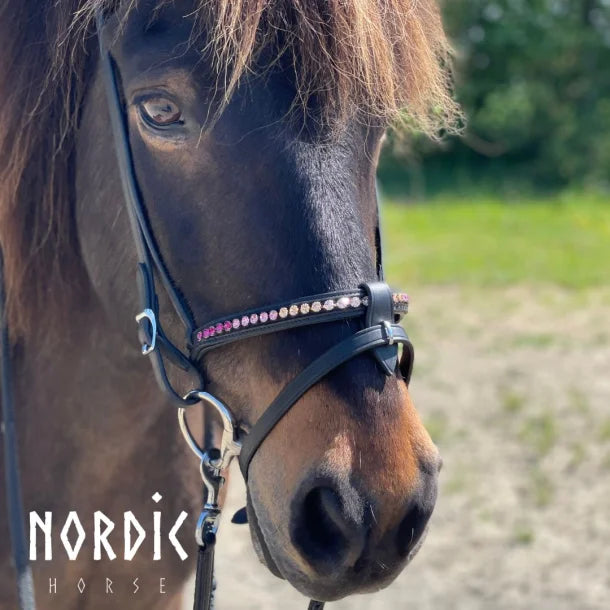 Nordic Horse, Englisch-kombinierter Nasenriemen mit abwechselnden Farben