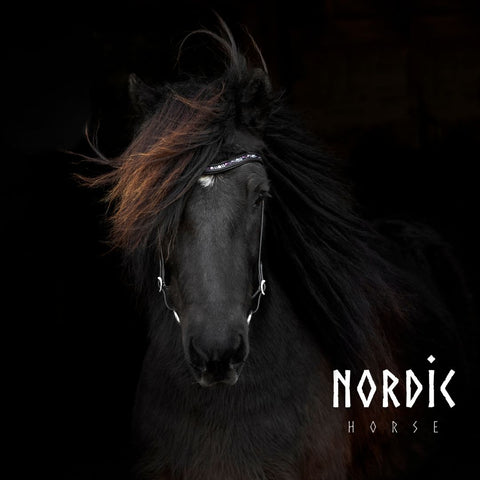 Nordic Horse Kopfstück Colour Mix - Lila