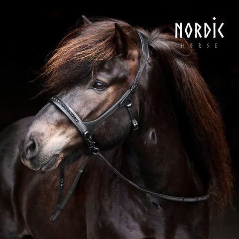 Nordic Horse Sidepull, All Black 