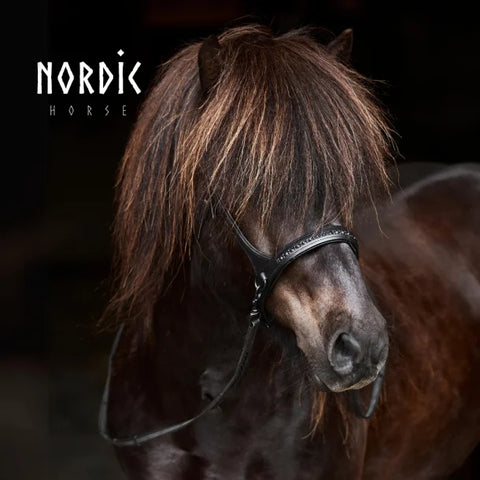 Nordic Horse Sidepull, All Black 