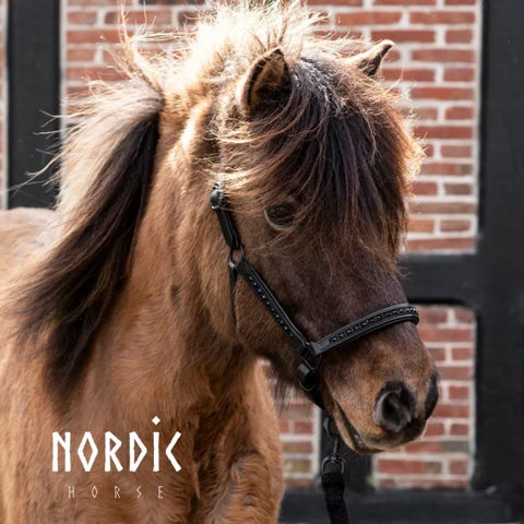 Nordic Horse Lederhalfter all Black
