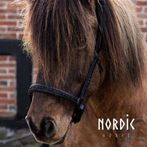 Nordic Horse Lederhalfter all Black