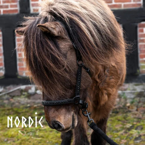 Nordic Horse Lederhalfter all Black