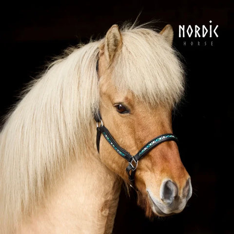 Nordic Horse Lederhalfter Farbmix, grün