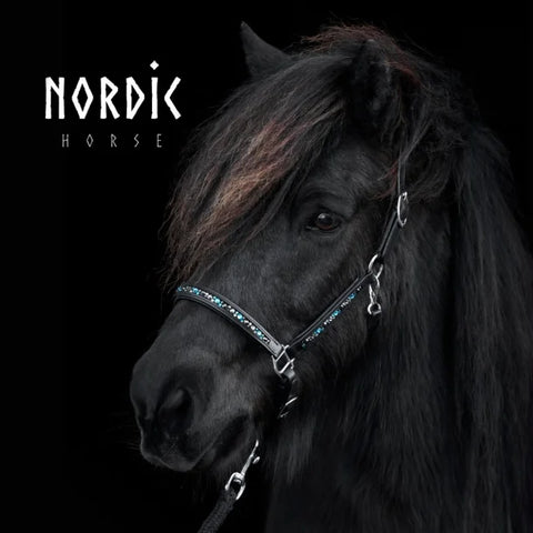 Nordic Horse Lederhalfter Farbmix, Türkis