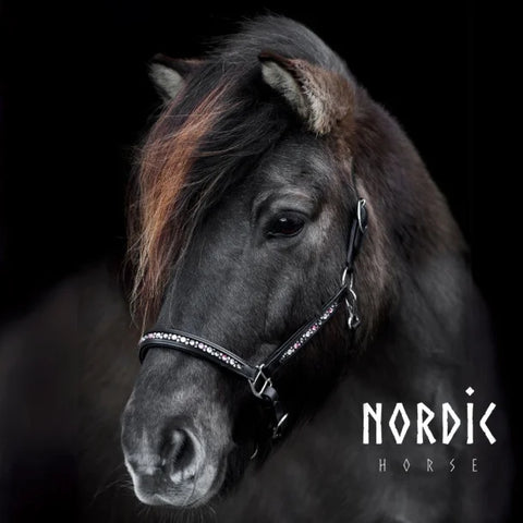 Nordic Horse Lederhalfter Farbmix, Pink